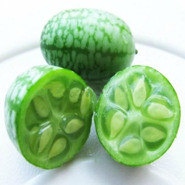 Mexican Sour Gherkin Cucumbers Cucumber, Watermelon seeds, Small cucumber