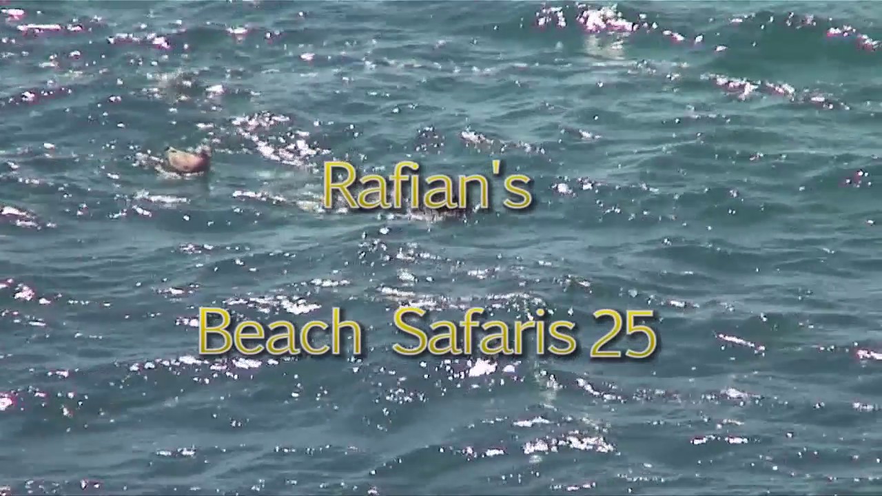 Rafian s Beach Safaris #25HD