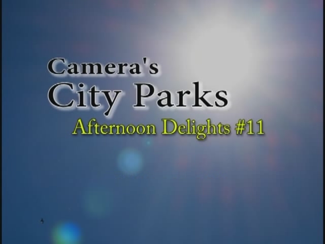 Camera s City Parks: Afternoon Delights 11 / Камеры городских парков: Во второй половине дня наслаждений 11