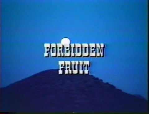 forbidden fruit 1984 torrent